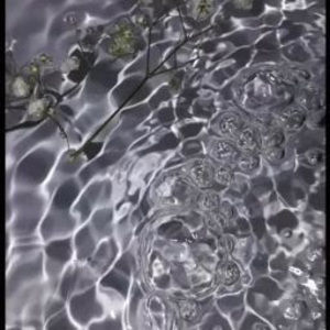 Meet your Posher, Marisol